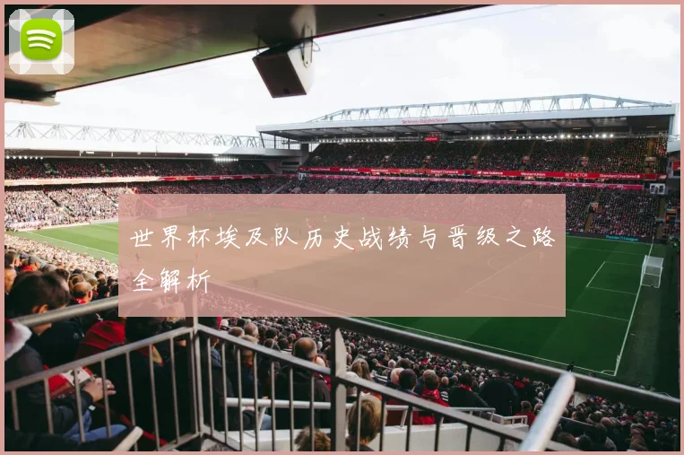 世界杯埃及队历史战绩与晋级之路全解析