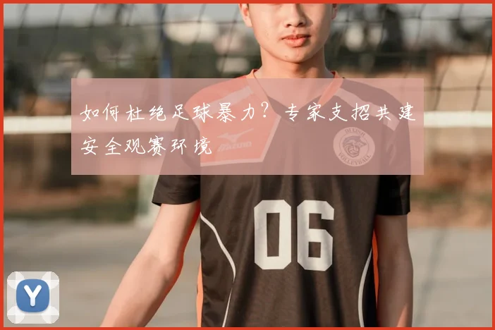 如何杜绝足球暴力？专家支招共建安全观赛环境