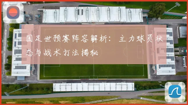 国足世预赛阵容解析：主力球员状态与战术打法揭秘