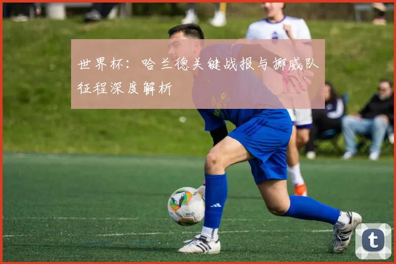 世界杯：哈兰德关键战报与挪威队征程深度解析